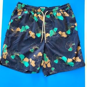 Quiksilver Waterman Swim Trunks